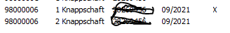 Ingrit_1-1632748976104.png