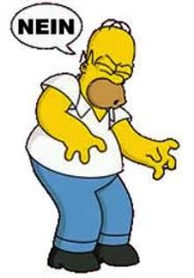 Homer NEIN.jpg