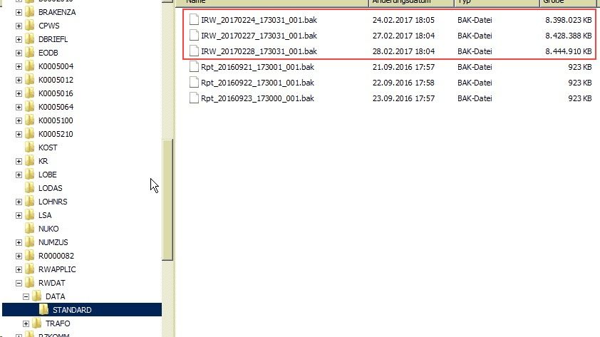 DATEV SQL Backup Datei Größe.jpg