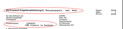 lohnexperte_1-1733212559886.png