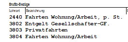 lohnhilfe_0-1737991223817.png