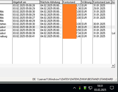 renek_1-1738575245032.png