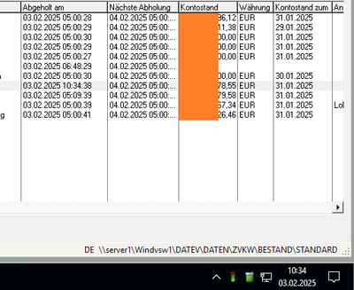renek_2-1738575319996.png