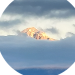 Regi