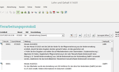 Lohn Hinweis Datev.png