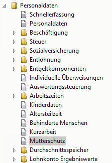 lohnexperte_1-1755593248700.png