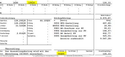 saskiasparing_1-1761228258895.png