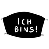 ich_bins0815
