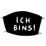 ich_bins0815