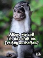 c5b53af0c4255cb4d1bc78efd15124f9.jpg