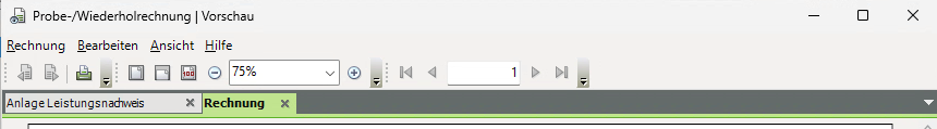 Screenshot Anlage Leistungsnachweis E-Rechnung.png