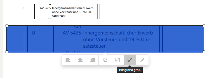 renek_2-1787819866721.png