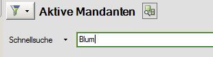 Mandantensuche 4.JPG