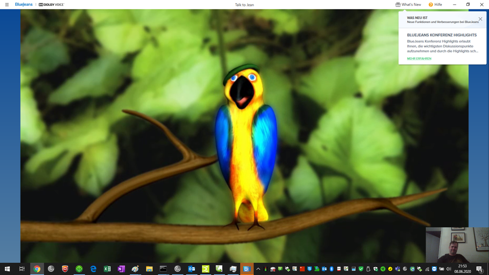 bluejeans_parrot.png